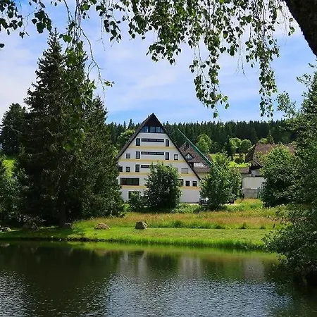 Ferienwohnung Apartment Schönwalde